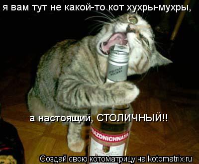 Котоматрица: я вам тут не какой-то кот хухры-мухры,  а настоящий, СТОЛИЧНЫЙ!!
