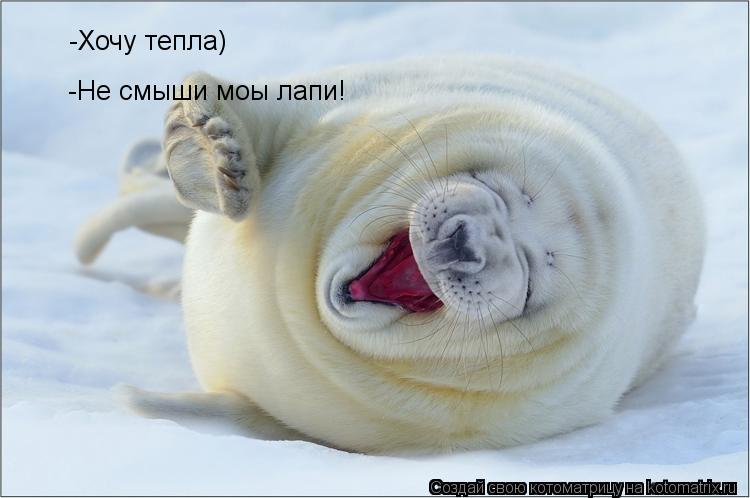 Котоматрица: -Хочу тепла) -Хочу тепла) -Не смыши моы лапи!