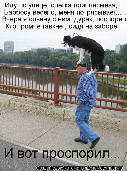 Котоматрица: Иду по улице, слегка приплясывая, Барбосу весело, меня потрясывает... Вчера я спьяну с ним, дурак, поспорил, Кто громче гавкнет, сидя на заборе