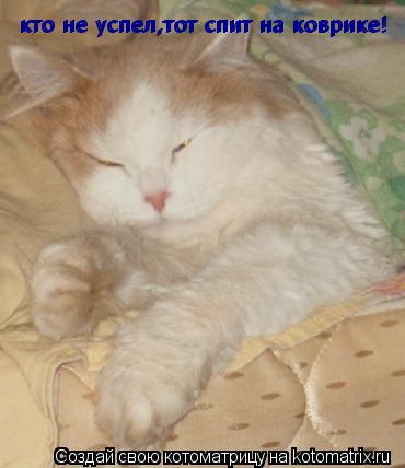 Котоматрица: кто не успел,тот спит на коврике! кто не успел,тот спит на коврике!