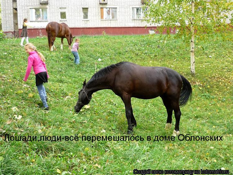 Котоматрица: Лошади,люди-всё перемешалось в доме Облонских