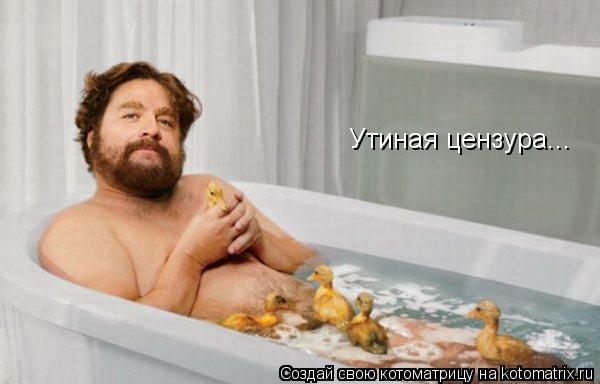 Котоматрица: Утиная цензура...