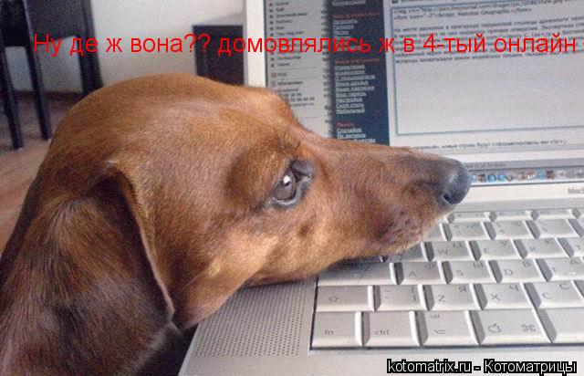 Котоматрица: Ну де ж вона?? домовлялись ж в 4-тый онлайн