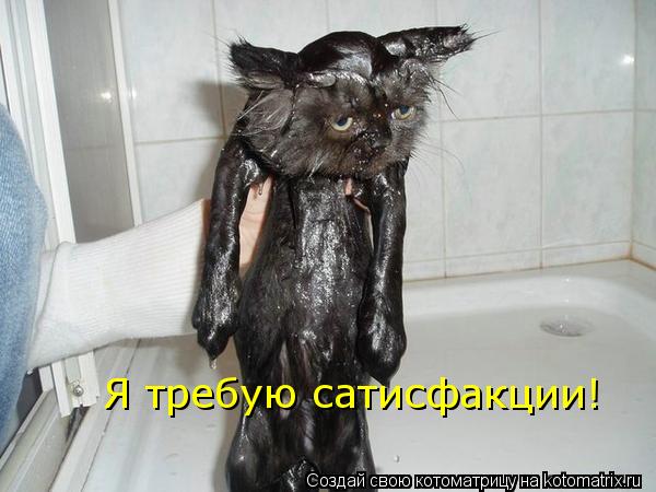 Котоматрица: Я требую сатисфакции!