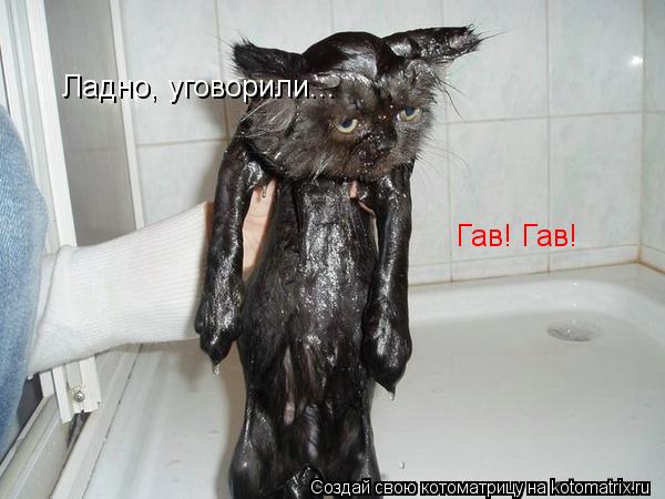 Котоматрица: Ладно, уговорили... Гав! Гав!
