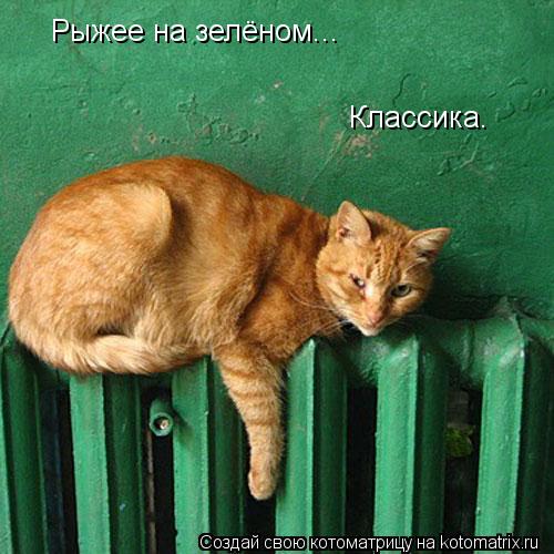 Котоматрица: Рыжее на зелёном... Классика.