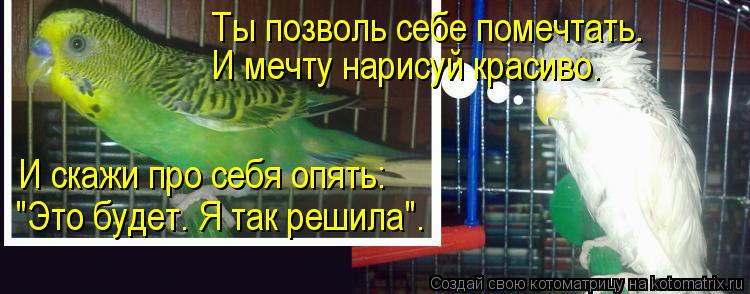 Котоматрица: Ты позволь себе помечтать. И мечту нарисуй красиво. И скажи про себя опять: "Это будет. Я так решила".