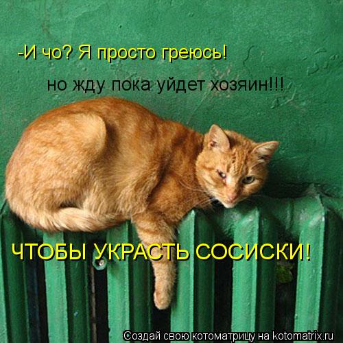 Котоматрица: -И чо? Я просто греюсь! но жду пока уйдет хозяин!!! ЧТОБЫ УКРАСТЬ СОСИСКИ!