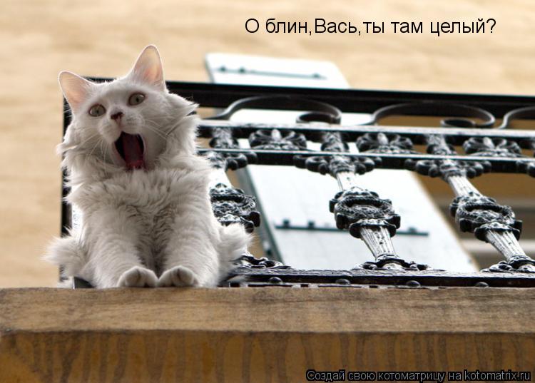Котоматрица: О блин,Вась,ты там целый?