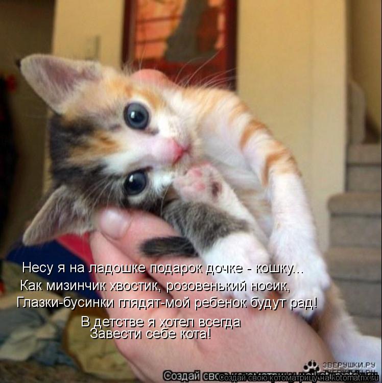 Котоматрица: Несу я на ладошке подарок дочке - кошку... Как мизинчик хвостик, розовенький носик, Глазки-бусинки глядят-мой ребенок будут рад! В детстве я х