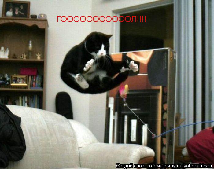 Котоматрица: ГОООООООООООЛ!!!!