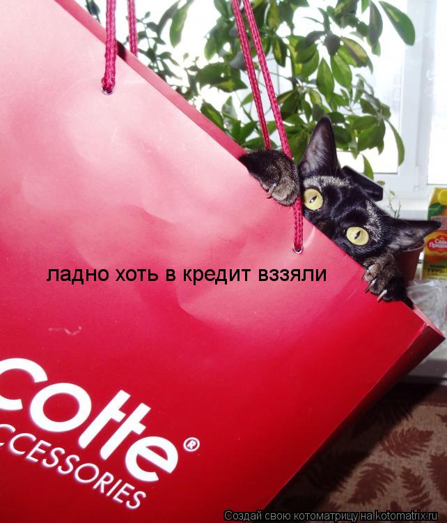 Котоматрица: ладно хоть в кредит вззяли