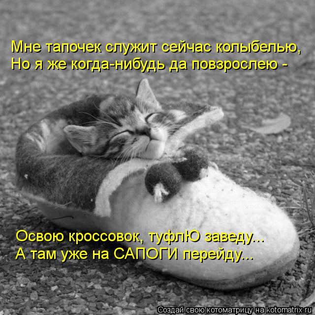 Мне тапочек служит сейчас колыбелью, Но я же когда-нибудь да повзрослею - Освою кроссовок, туфлЮ зав... Котоматрица: Мне тапочек служит сейчас колыбелью, Но я же когда-нибудь да повзрослею - Освою кроссовок, туфлЮ заведу... А там уже на САПОГИ перейду...