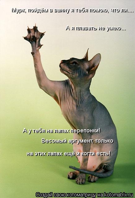 Котоматрица: Мурк, пойдём в ванну я тебя помою, что ли.... А я плавать не умею... А у тебя на лапах перепонки! Весомый аргумент, только на этих лапах ещё и когт