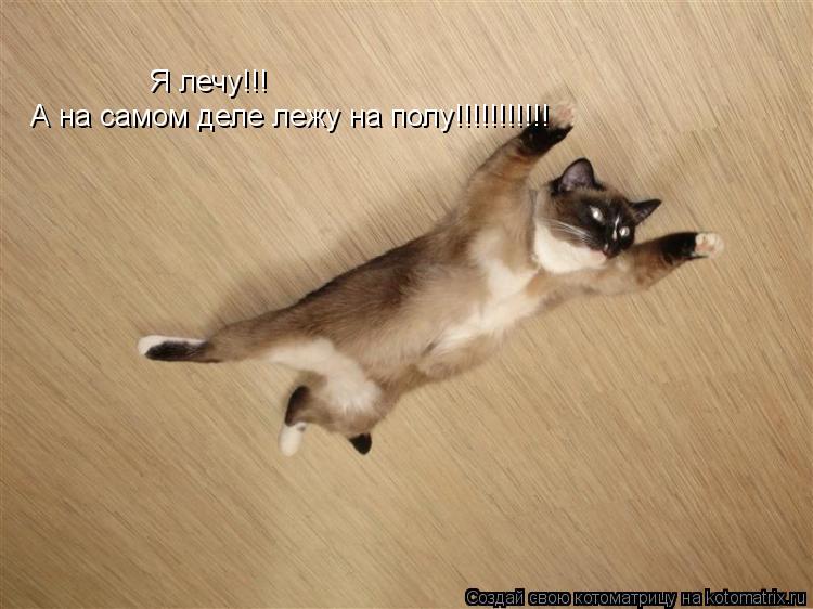 Котоматрица: Я лечу!!! А на самом деле лежу на полу!!!!!!!!!!!