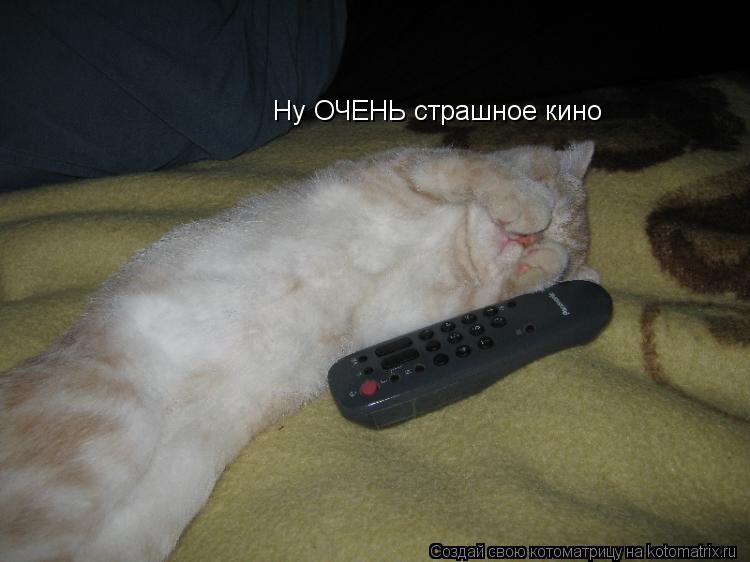Котоматрица: Ну ОЧЕНЬ страшное кино