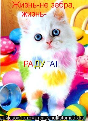 Котоматрица: Жизнь-не зебра, жизнь- РА ДУ ГА!