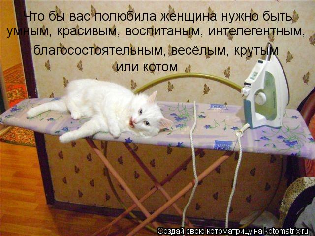 Котоматрица: Что бы вас полюбила женщина нужно быть  умным, красивым, воспитаным, интелегентным, благосостоятельным, весёлым, крутым или котом