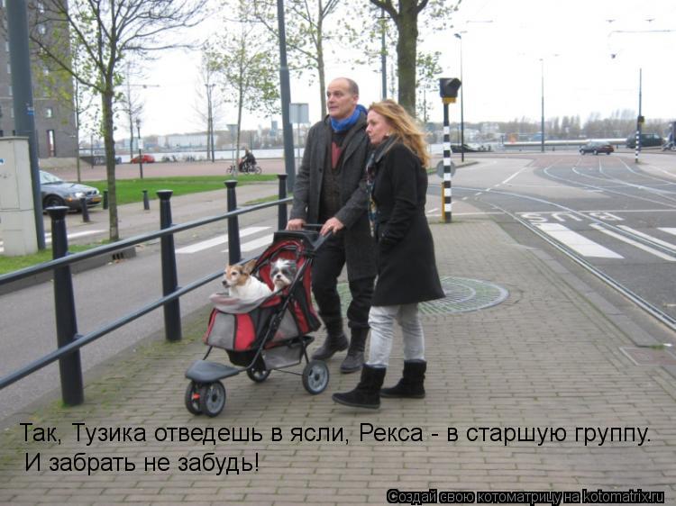 Котоматрица: Так, Тузика отведешь в ясли, Рекса - в старшую группу.  И забрать не забудь!