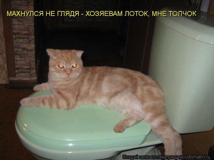 Котоматрица: МАХНУЛСЯ НЕ ГЛЯДЯ - ХОЗЯЕВАМ ЛОТОК, МНЕ ТОЛЧОК