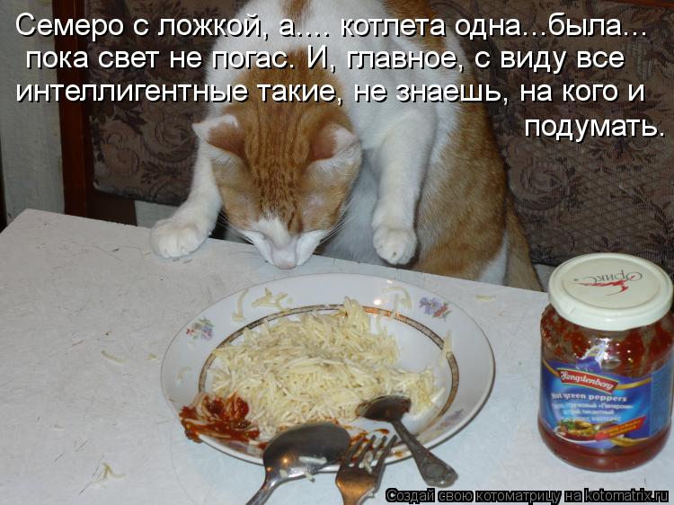 Семеро с ложкой, а.... котлета одна...была... пока свет не погас. И, главное, с виду все интеллигент... Котоматрица: Семеро с ложкой, а.... котлета одна...была... пока свет не погас. И, главное, с виду все интеллигентные такие, не знаешь, на кого и подумать.