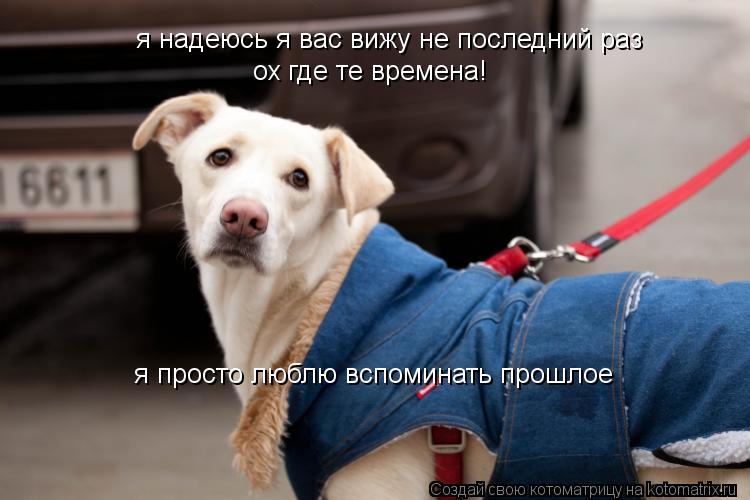 Котоматрица: я надеюсь я вас вижу не последний раз ох где те времена! я просто люблю вспоминать прошлое