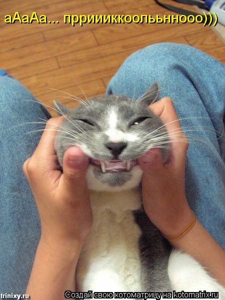 Котоматрица: аАаАаАа... прриииккоолььннооо))) аАаАа... прриииккоолььннооо)))