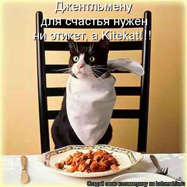 Котоматрица: Джентльмену  для счастья нужен ни этикет, а Kitekat!!!