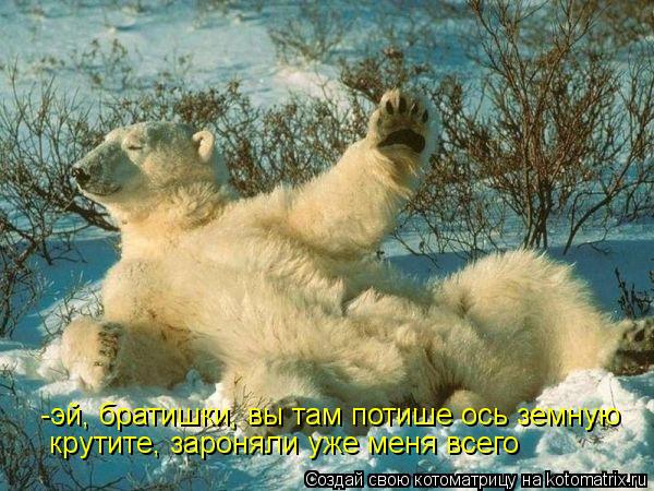 Котоматрица: -эй, братишки, вы там потише ось земную крутите, зароняли уже меня всего
