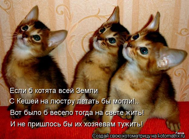 Котоматрица: Если б котята всей Земли С Кешей на люстру летать бы могли!.. Вот было б весело тогда на свете жить! И не пришлось бы их хозяевам тужить!