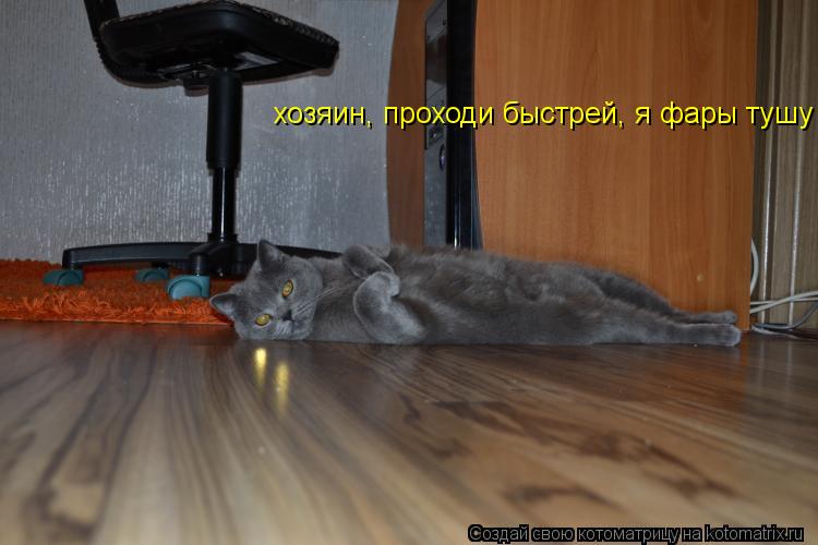 Котоматрица: хозяин, проходи быстрей, я фары тушу хозяин, проходи быстрей, я фары тушу
