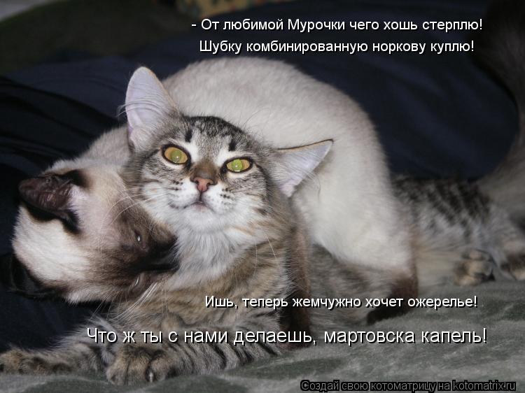 Котоматрица: - От любимой Мурочки чего хошь стерплю! Шубку комбинированную норкову куплю! Ишь, теперь жемчужно хочет ожерелье! Что ж ты с нами делаешь, ма