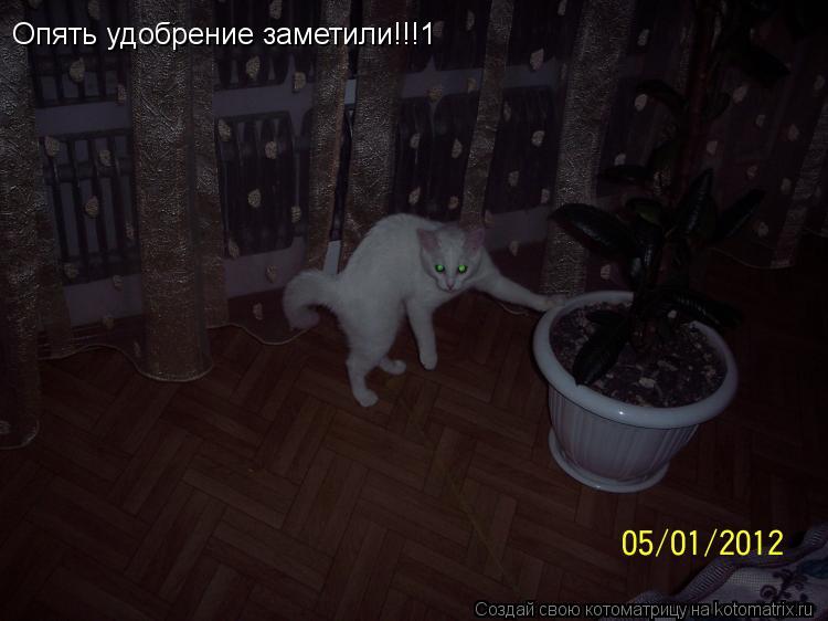 Котоматрица: Опять удобрение заметили!!!1