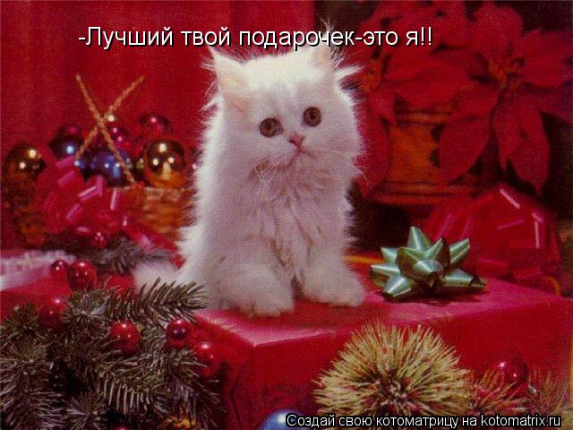 Котоматрица: -Лучший твой подарочек-это я!!