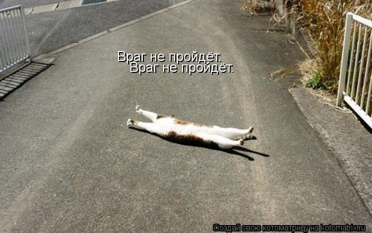Котоматрица: Враг не пройдёт. Враг не пройдёт.