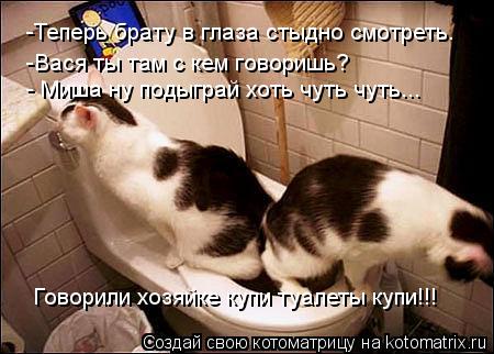 Котоматрица: Говорили хозяйке купи туалеты купи теперь стыдно брату в глаза смотреть  Говорили хозяйке купи туалеты купи!!!  -Теперь брату в глаза стыдно 