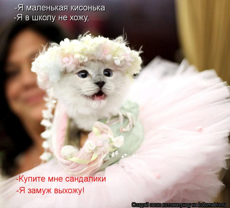 Котоматрица: -Я маленькая кисонька -Я в школу не хожу, -Купите мне сандалики -Я замуж выхожу!