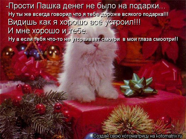 Котоматрица: -Прости Пашка денег не было на подарки... Ну ты же всегда говорил что я тебе дороже всякого подарка!!!                    Видишь как я хорошо всё устр