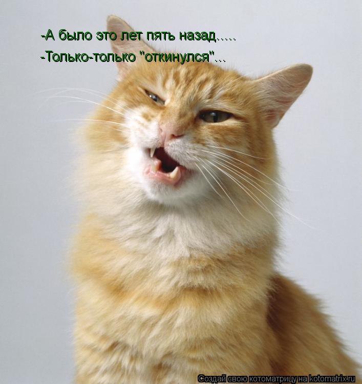 Котоматрица: -А было это лет пять назад..... -Только-только "откинулся"...