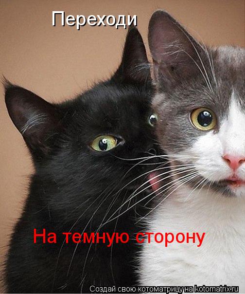 Котоматрица: Переходи На темную сторону