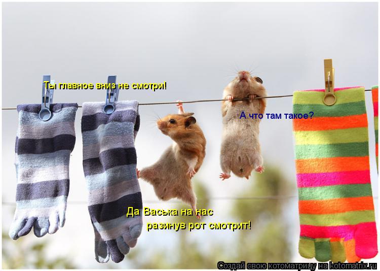 Котоматрица: Ты главное вниз не смотри! А что там такое? Да Васька на нас разинув рот смотрит!