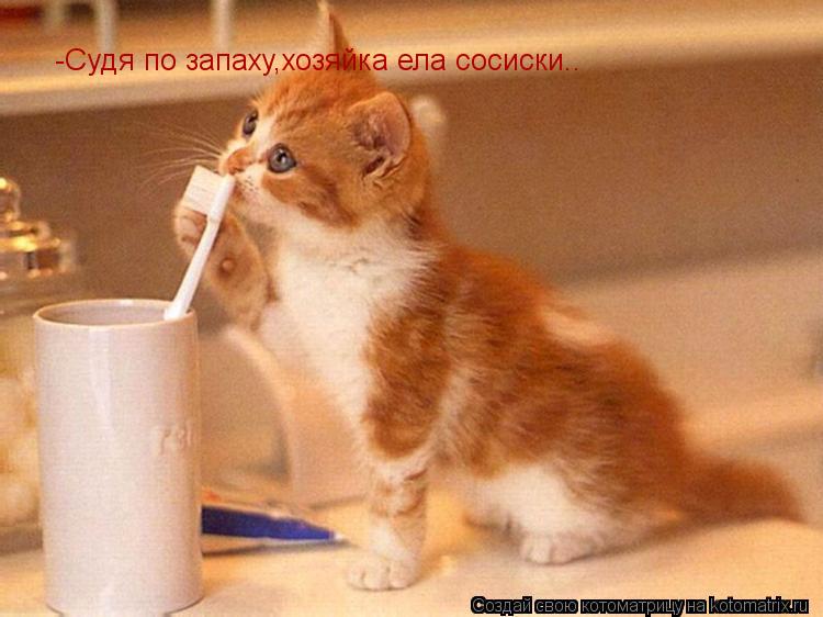 Котоматрица: -Судя по запаху,хозяйка ела сосиски..