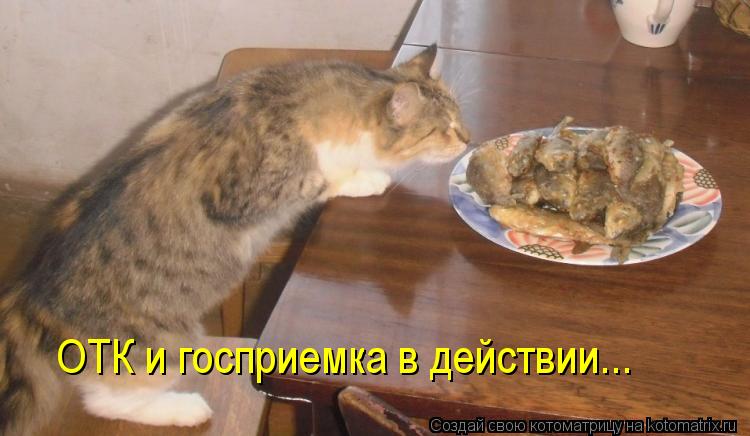 Котоматрица: ОТК и госприемка в действии...