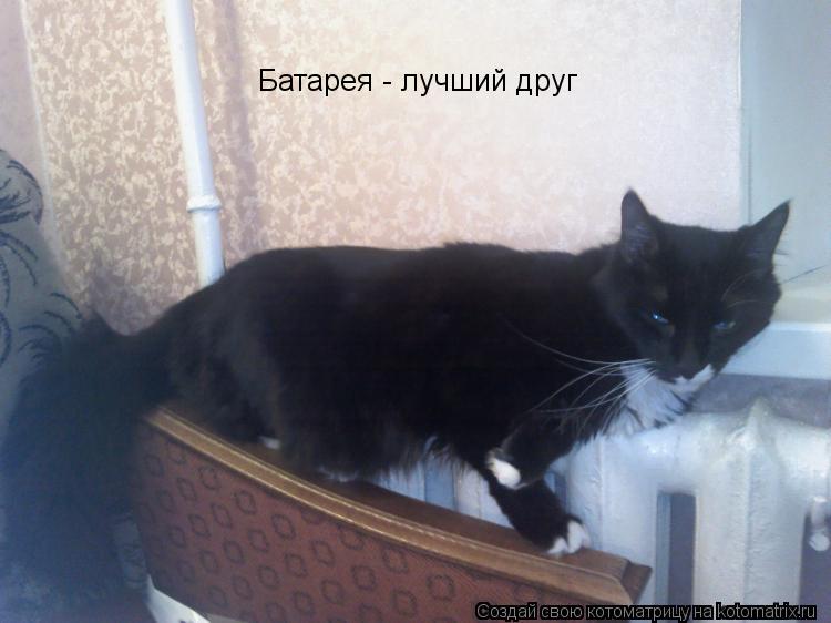 Котоматрица: Батарея - лучший друг