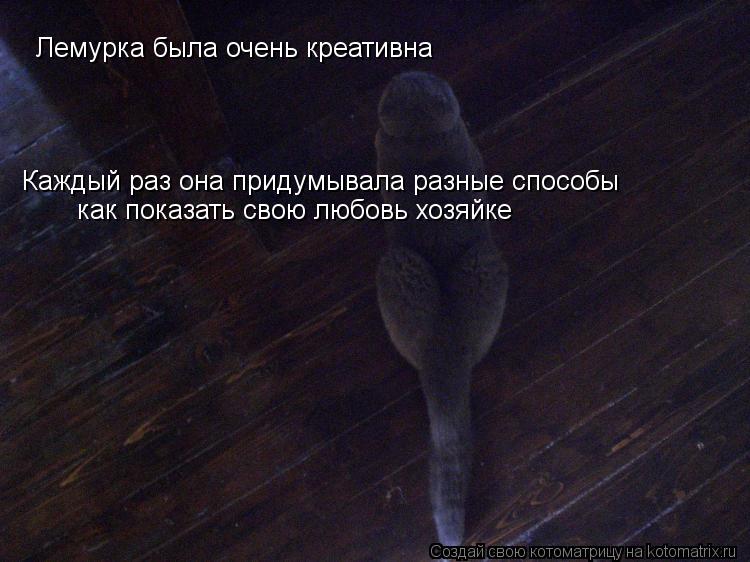 Котоматрица: Лемурка была очень креативна Каждый раз она придумывала разные способы как показать свою любовь хозяйке