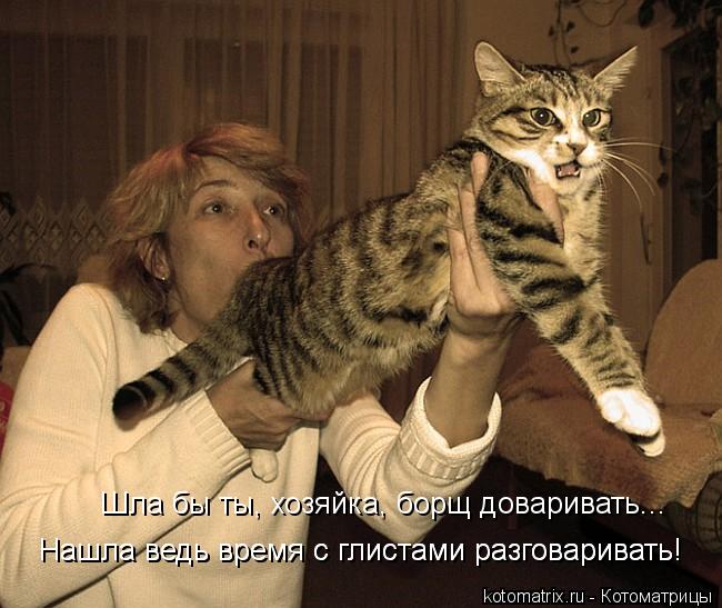 Котоматрица: Шла бы ты, хозяйка, борщ доваривать... Нашла ведь время с глистами разговаривать! Нашла ведь время с глистами разговаривать!