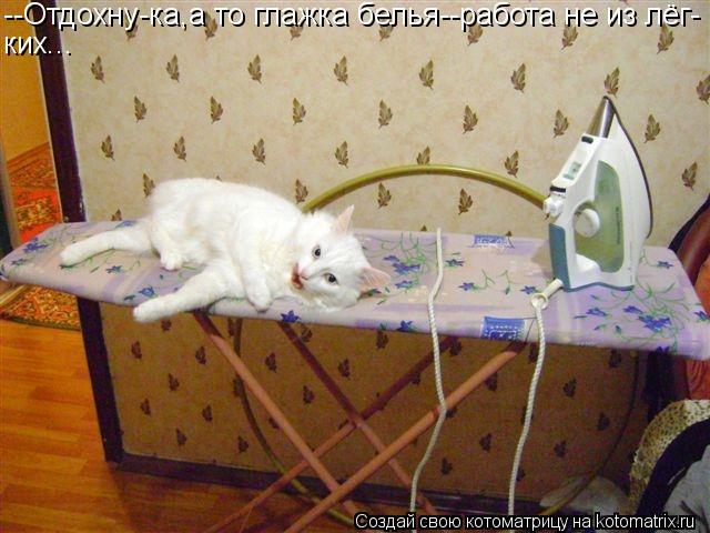Котоматрица: --Отдохну-ка,а то глажка белья--работа не из лёг- ких...