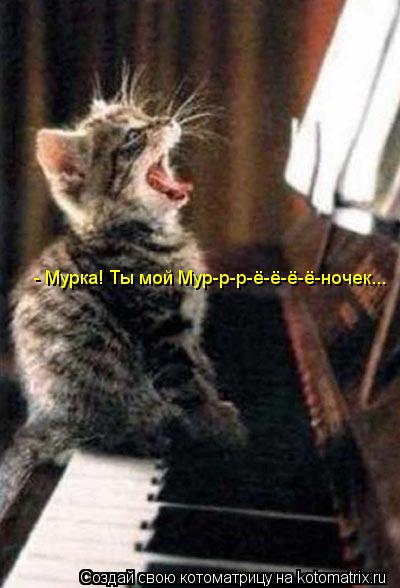 Котоматрица: - Мурка! Ты мой Мур-р-р-ё-ё-ё-ё-ночек...