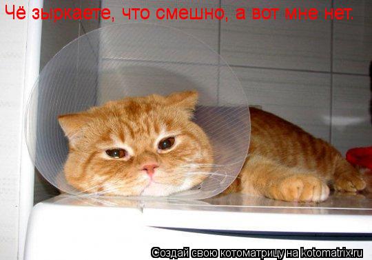 Котоматрица: Чё зыркаете, что смешно, а вот мне нет. Чё зыркаете, что смешно, а вот мне нет.