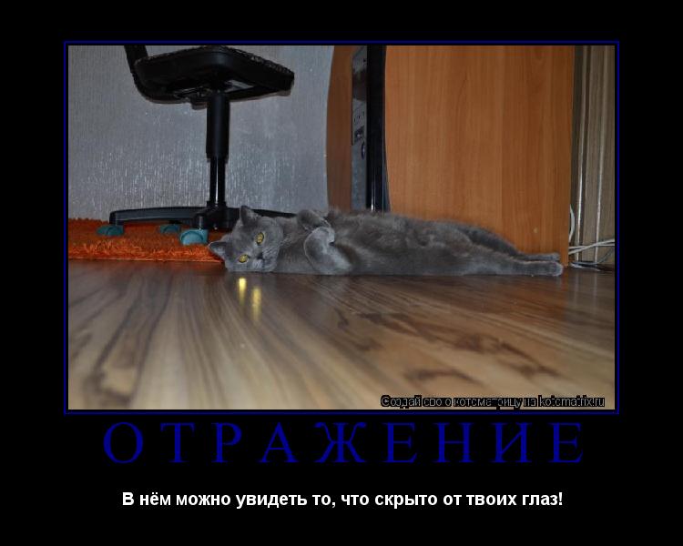 Котоматрица: Отражение В нём можно увидеть то, что скрыто от твоих глаз!